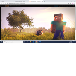 The Minecraft group!!!