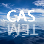 CASTEM
