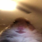 Devivothis's Fan Group