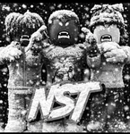 NST | New Soul Takers