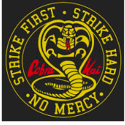 Cobra Kai's Dojo