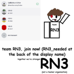 RN3_