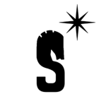 Shamwow Security Holdings LLC
