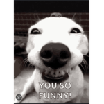 Funny epic group
