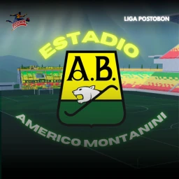 [🏆] Estadio Americo Montanini icon
