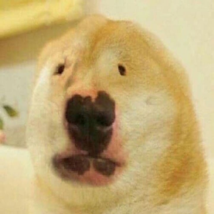 Dog Roblox decal