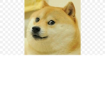 Corgi2.0
