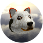 Sushi Doge