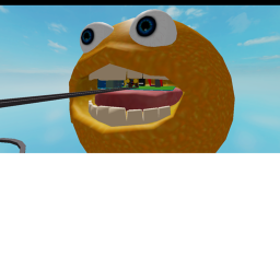 pupaa
