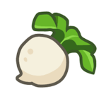 ~Onion Patch~