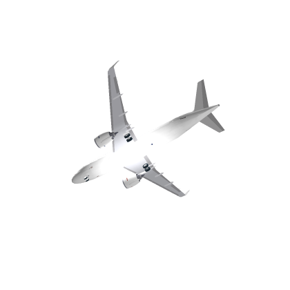 The friends plane
