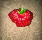 strawberry on a couch?..