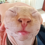Da Catto the 2nd