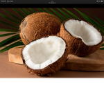 Coconut guy forever
