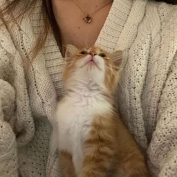 ─ ⋆⋅🍂⋅⋆ ─