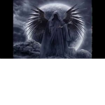 The fallen angels group
