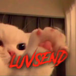 LUV$3ND