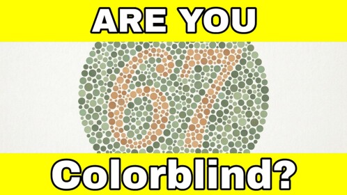 🎨 ColorBlind Test