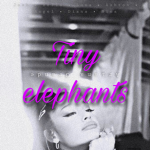 Tiny elephant Records