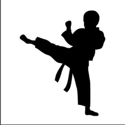 Cadences TEAKWONDO icon
