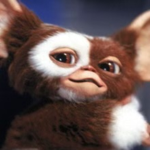 Gremlin gang :)