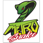 The Metro Quiver
