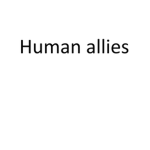 Dogeistan's human allies