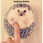 hedgehogStudios