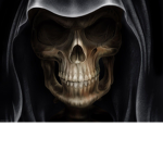 distrubtin roblox fud group