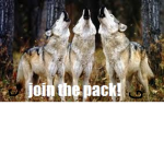 wolf clan industry