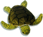 THE EPIC TURTLE CLAN !!!