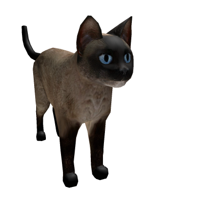 Siamese Cat