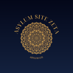 Asylum Site Zeta | Orderly Team