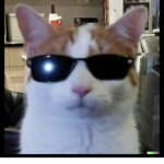 Sisi games beta