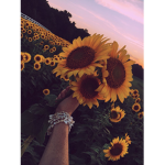 sunshiine clothing
