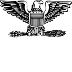 Army Ranks- High Ranks