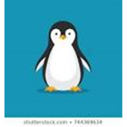 penguin hangout