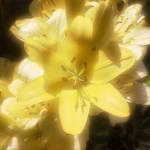 ~linas group~ Group Thumbnail