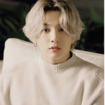 IM A CHICKEN NUGGET . BTS