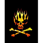 Dragon Heart Pirates