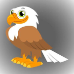 TEH #EAGLE SQUAD