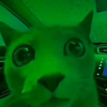 Green Gato Studio