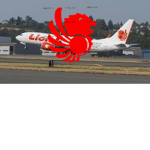 FlyIndo