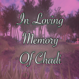 🌷 In Loving Memory Of Ch-adi
