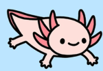 Nilicles Ugc