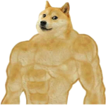 trupi do doge
