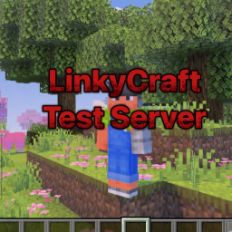 LinkyCraft Test Severs