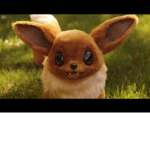 The foxes and Eevees