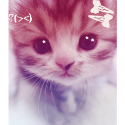 chii