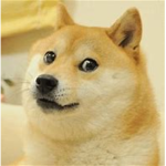doge haven